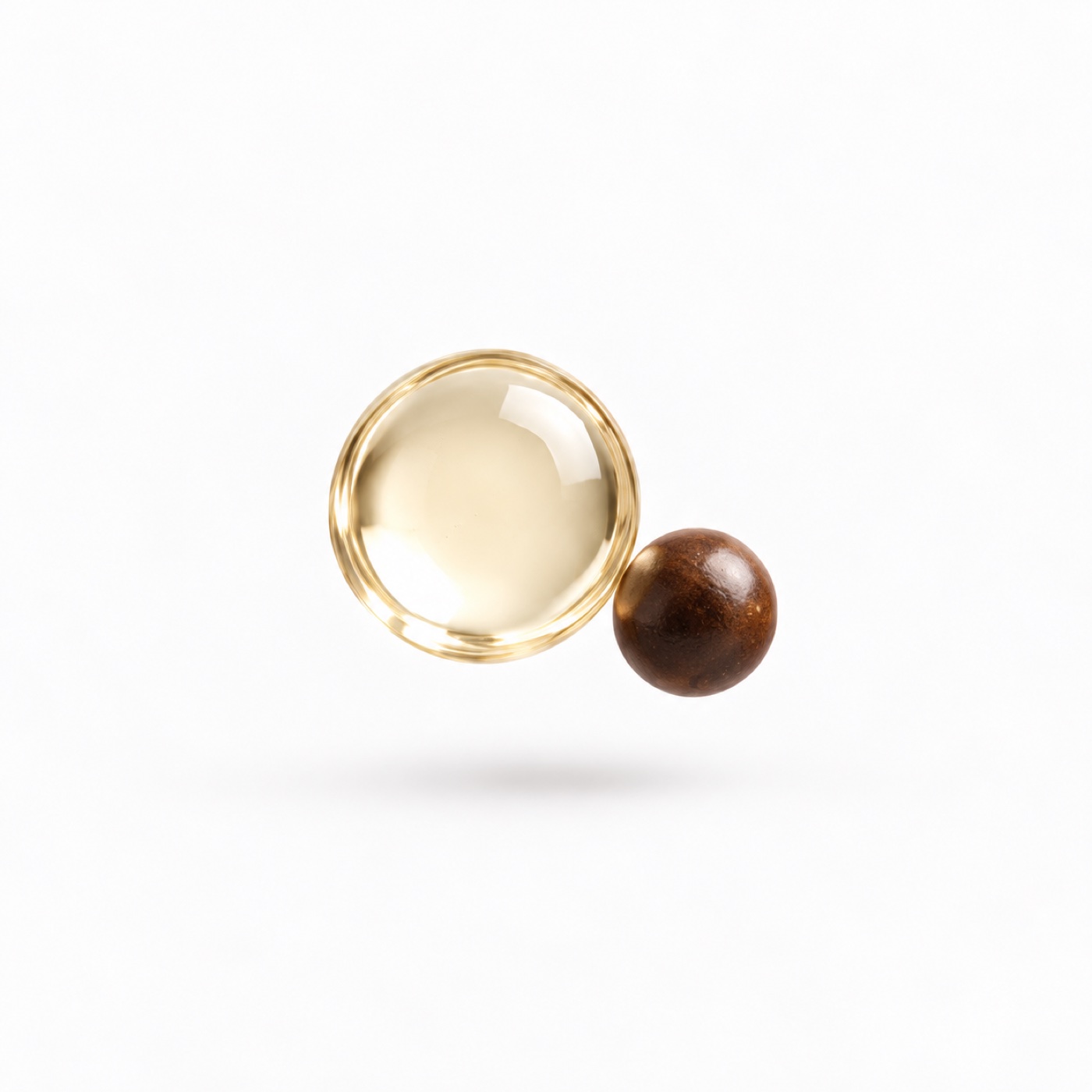 Camellia seed oil ingredient illustration
